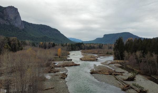 A river running through the Gifford Pinchot National Forest