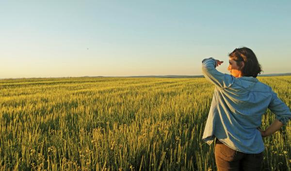 A graduate student from the University of Maine overlooks her research field in the setting sun