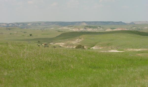 Photo by Matt Reeves, Little Missouri National Grasslands, ND