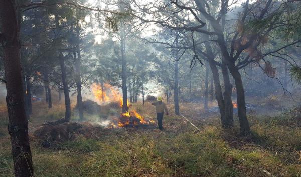 A man walking away from a burning pile of wood in a forest