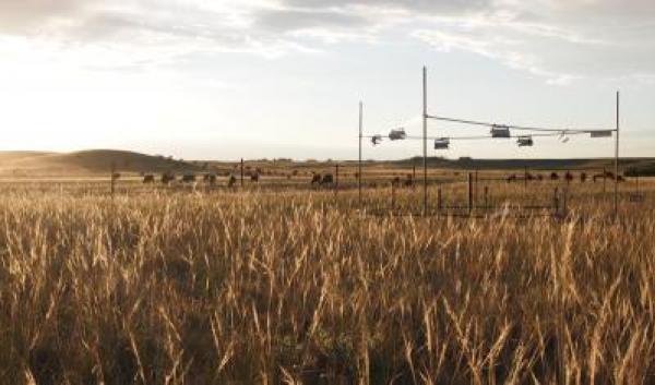 Research Study Site: USDA-ARS High Plains Grasslands Research Station