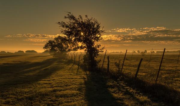 Sunrise over New Mexico Pasture Land