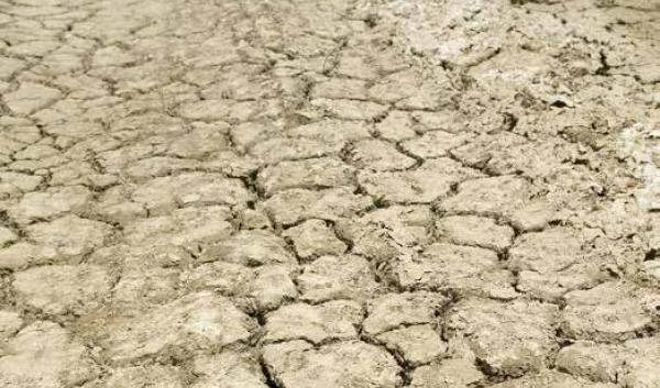 drought - dry ground